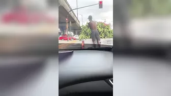 Banana Thieves Plan Robbery At Perfect Timing