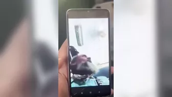 Be A Little Devil And Record It