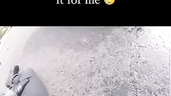 Bicyclists Do Not Have To Obey Traffic Rules