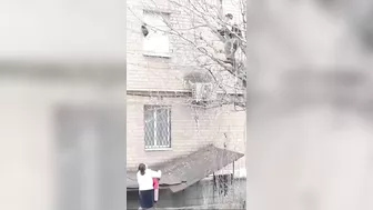 Catching A Cat From A Tree