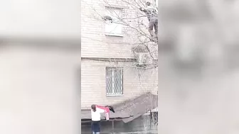 Catching A Cat From A Tree
