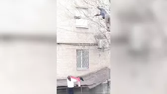 Catching A Cat From A Tree