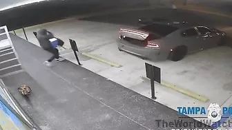 Thieves Use Chainsaw To Break Into Tampa, Florida Store