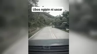 The Car Said It Bit Me, And It Did Bite Me.