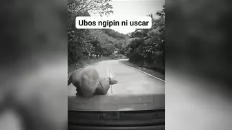 The Car Said It Bit Me, And It Did Bite Me.