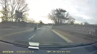 Randomly Running Red Lights, Blocking Lanes, Etc.