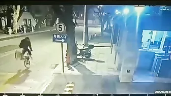 Cat Disturbs Cyclist