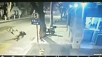 Cat Disturbs Cyclist