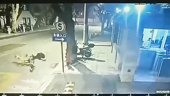 Cat Disturbs Cyclist