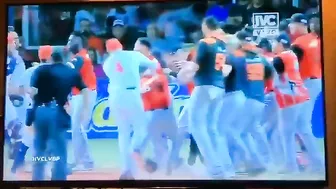 The Craziest Fight I've Seen In Years