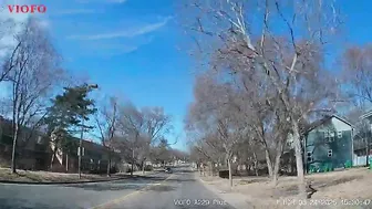 Does He Have To Poop?