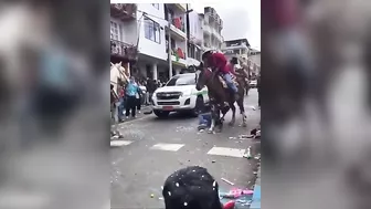 Don't Mess With The Horse People