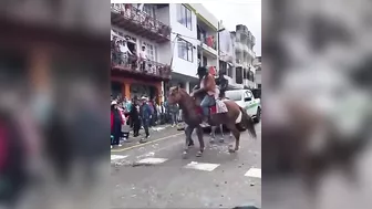 Don't Mess With The Horse People