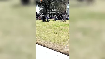 Dozens Injured In Fight Between Two Fathers At Cheerleader's Home