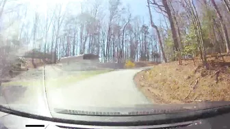 The Driver Stopped The Car In The Middle Of The Road