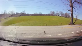 The Driver Stopped The Car In The Middle Of The Road