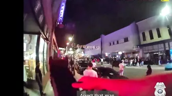 Florida Man Drunkenly Hits Police Horse, Leads To Wild Ride