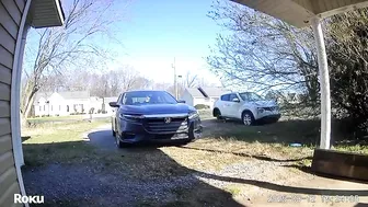 A Drunk Driver Almost Made Me A Hit-and-run Animal In My Own Backyard