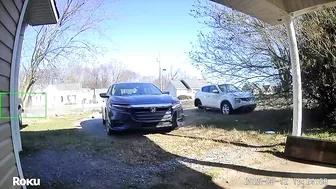 A Drunk Driver Almost Made Me A Hit-and-run Animal In My Own Backyard