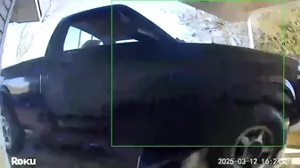 A Drunk Driver Almost Made Me A Hit-and-run Animal In My Own Backyard