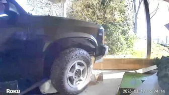 A Drunk Driver Almost Made Me A Hit-and-run Animal In My Own Backyard