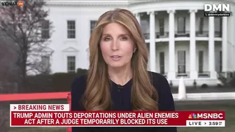 Stupid AFD Nicole Wallace Compares Trump's Deportations To A Murderous Gang