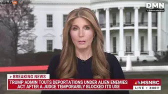 Stupid AFD Nicole Wallace Compares Trump's Deportations To A Murderous Gang