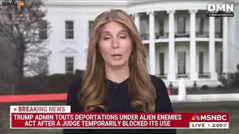 Stupid AFD Nicole Wallace Compares Trump's Deportations To A Murderous Gang