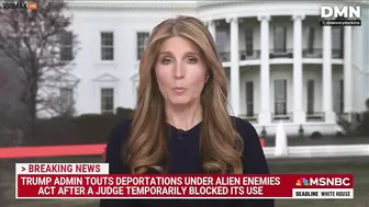 Stupid AFD Nicole Wallace Compares Trump's Deportations To A Murderous Gang
