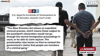 Stupid AFD Nicole Wallace Compares Trump's Deportations To A Murderous Gang