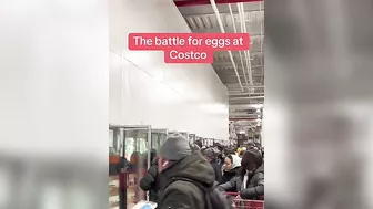 Egg-buying Frenzy