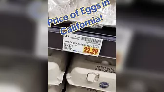 Egg-buying Frenzy