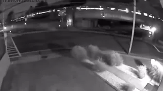 Have You Ever Stood On A Street Corner And Witnessed A 100 Mph Accident?