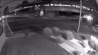 Have You Ever Stood On A Street Corner And Witnessed A 100 Mph Accident?