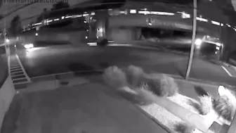 Have You Ever Stood On A Street Corner And Witnessed A 100 Mph Accident?