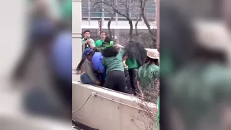 Fight During St. Patrick's Day Parade On Chicago River