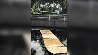 Free Body And Face Exfoliation