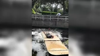 Free Body And Face Exfoliation