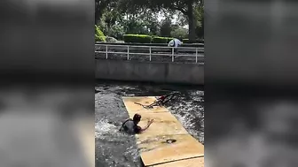 Free Body And Face Exfoliation