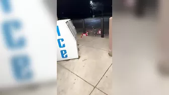 A Friend Catches Someone Stealing Beer At Work
