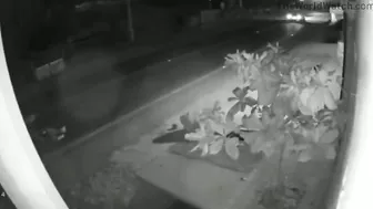 The Good Uncle Was On His Way To His Nephew's Party But Couldn't Make It