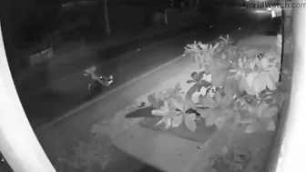 The Good Uncle Was On His Way To His Nephew's Party But Couldn't Make It