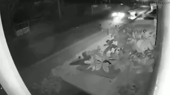 The Good Uncle Was On His Way To His Nephew's Party But Couldn't Make It