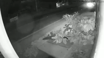 The Good Uncle Was On His Way To His Nephew's Party But Couldn't Make It