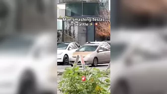 Man Who Smashed Up Tesla Tries To Comfort Second Victim