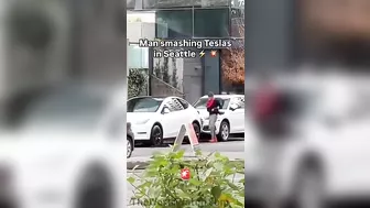 Man Who Smashed Up Tesla Tries To Comfort Second Victim