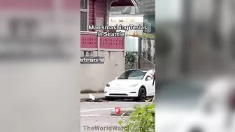 Man Who Smashed Up Tesla Tries To Comfort Second Victim