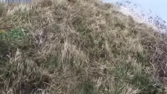 His Parachute Didn't Open While BASE Jumping.