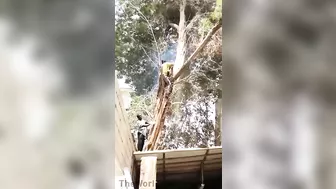 Hold On Tight And Wait For It