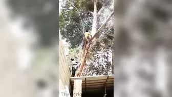 Hold On Tight And Wait For It